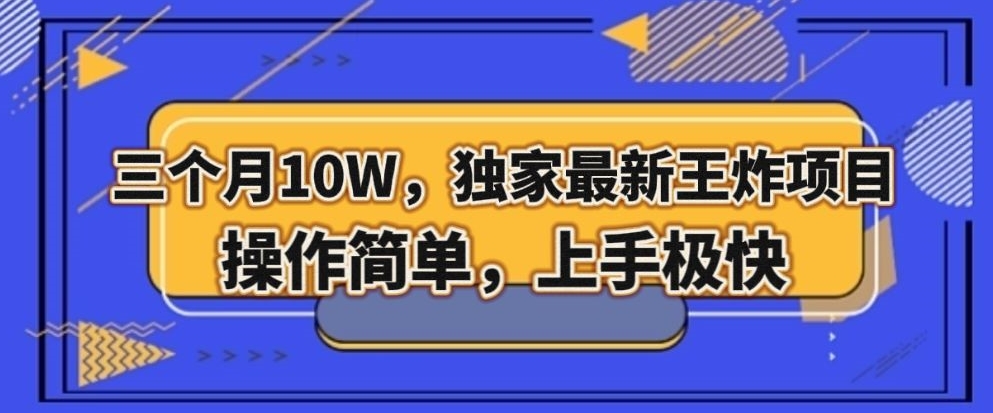 三个月10W，独家最新王炸项目！操作简单，上手极快【揭秘】-萝卜兔资源站