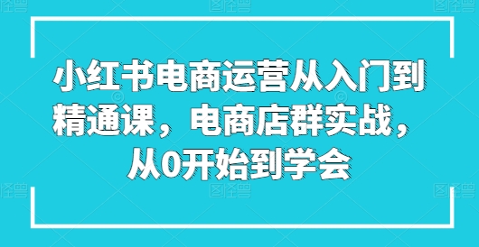 小红书电商运营从入门到精通课，电商店群实战，从0开始到学会-萝卜兔资源站