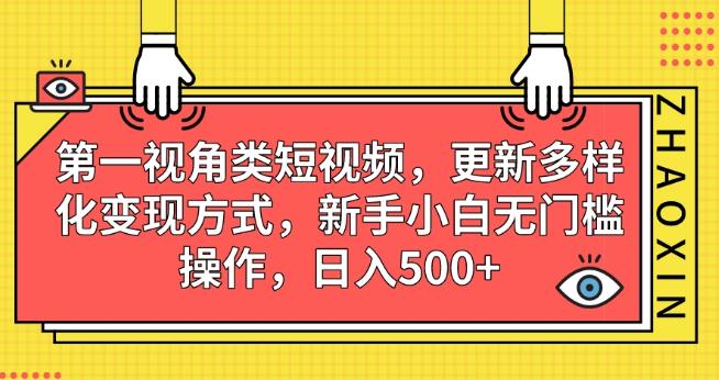 第一视角类短视频，更新多样化变现方式，新手小白无门槛操作，日入500+【揭秘】-萝卜兔资源站