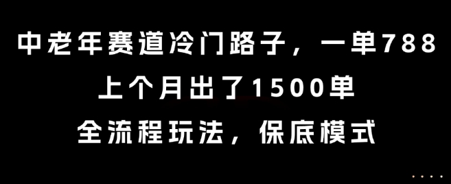 中老年赛道冷门路子，一单788，上个月出了1500单，全流程玩法，保底模式【揭秘】-萝卜兔资源站