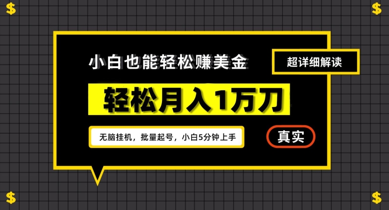 谷歌看广告撸美金2.0，无脑挂机，多号操作，月入1万刀【揭秘】-萝卜兔资源站