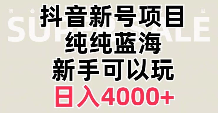 抖音蓝海赛道，必须是新账号，日入4000+【揭秘】-萝卜兔资源站