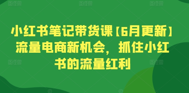 小红书笔记带货课【6月更新】流量电商新机会，抓住小红书的流量红利-萝卜兔资源站