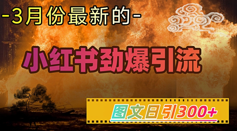 小红书超劲爆引流手段，图文日引300+轻松变现1W-萝卜兔资源站