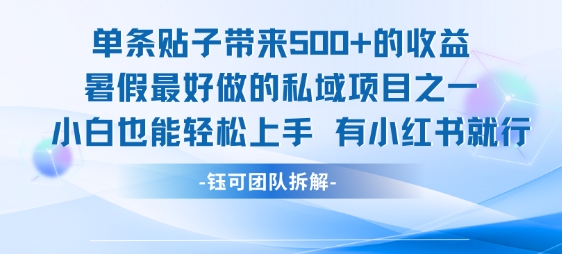 单条贴子带来5张的收益，暑假最好做的私域项目之一，小白也能轻松上手，有小红书就行-萝卜兔资源站