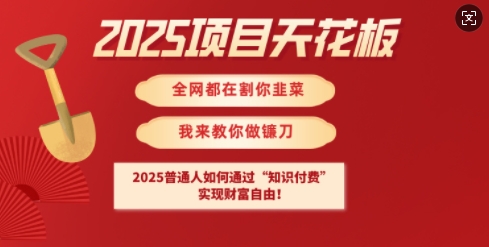 2025项目天花板普通人如何通过知识付费，实现财F自由【揭秘】-萝卜兔资源站