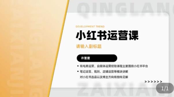 许筐筺·小红书运营课，​笔记运营、规则、店铺运营等模块讲解，学会自己独立运营小红书账号-萝卜兔资源站