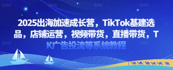 2025出海加速成长营，TikTok基建选品，店铺运营，视频带货，直播带货，TK广告投流等系统教程-萝卜兔资源站