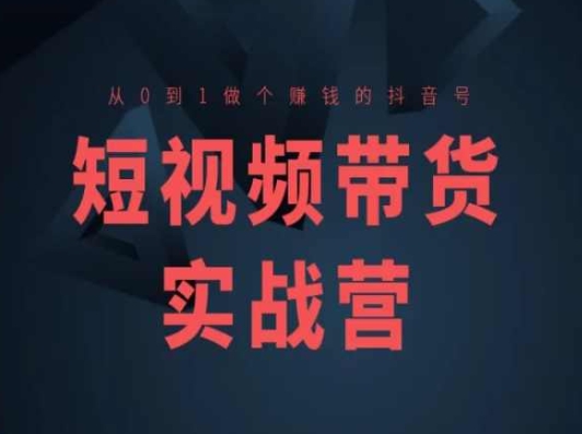 短视频带货实战营(高阶课)，从0到1做个赚钱的抖音号-萝卜兔资源站