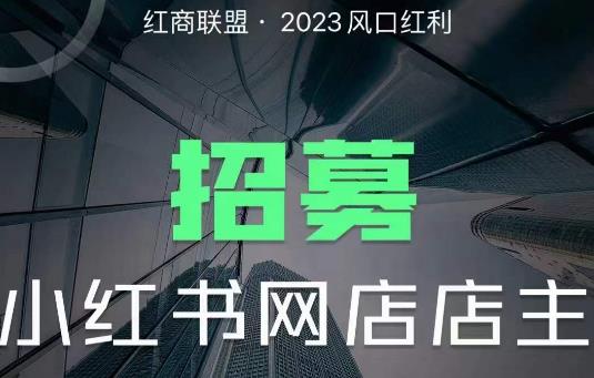 红商联盟·小红书无货源电商1.0，0粉丝无需囤货，小白也可以轻松上手的无货源项目-萝卜兔资源站