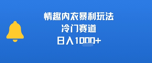 情趣内衣暴利玩法，冷门赛道，日入1k+-萝卜兔资源站