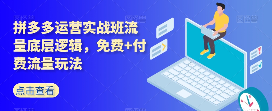 拼多多运营实战班流量底层逻辑，免费+付费流量玩法-萝卜兔资源站