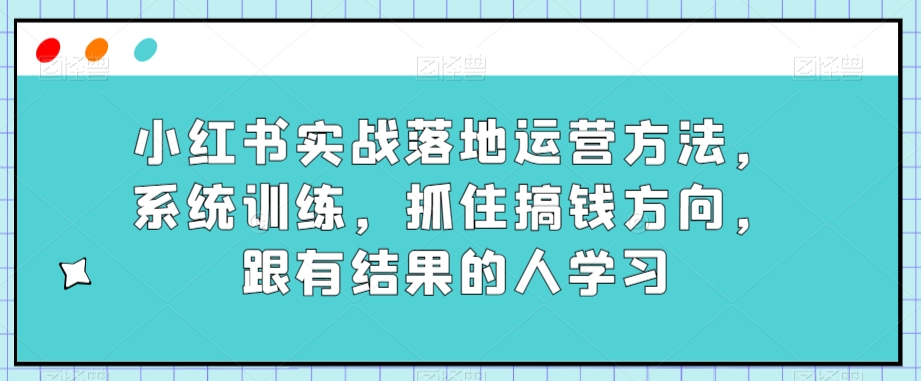 小红书实战落地运营方法，系统训练，抓住搞钱方向，跟有结果的人学习-萝卜兔资源站