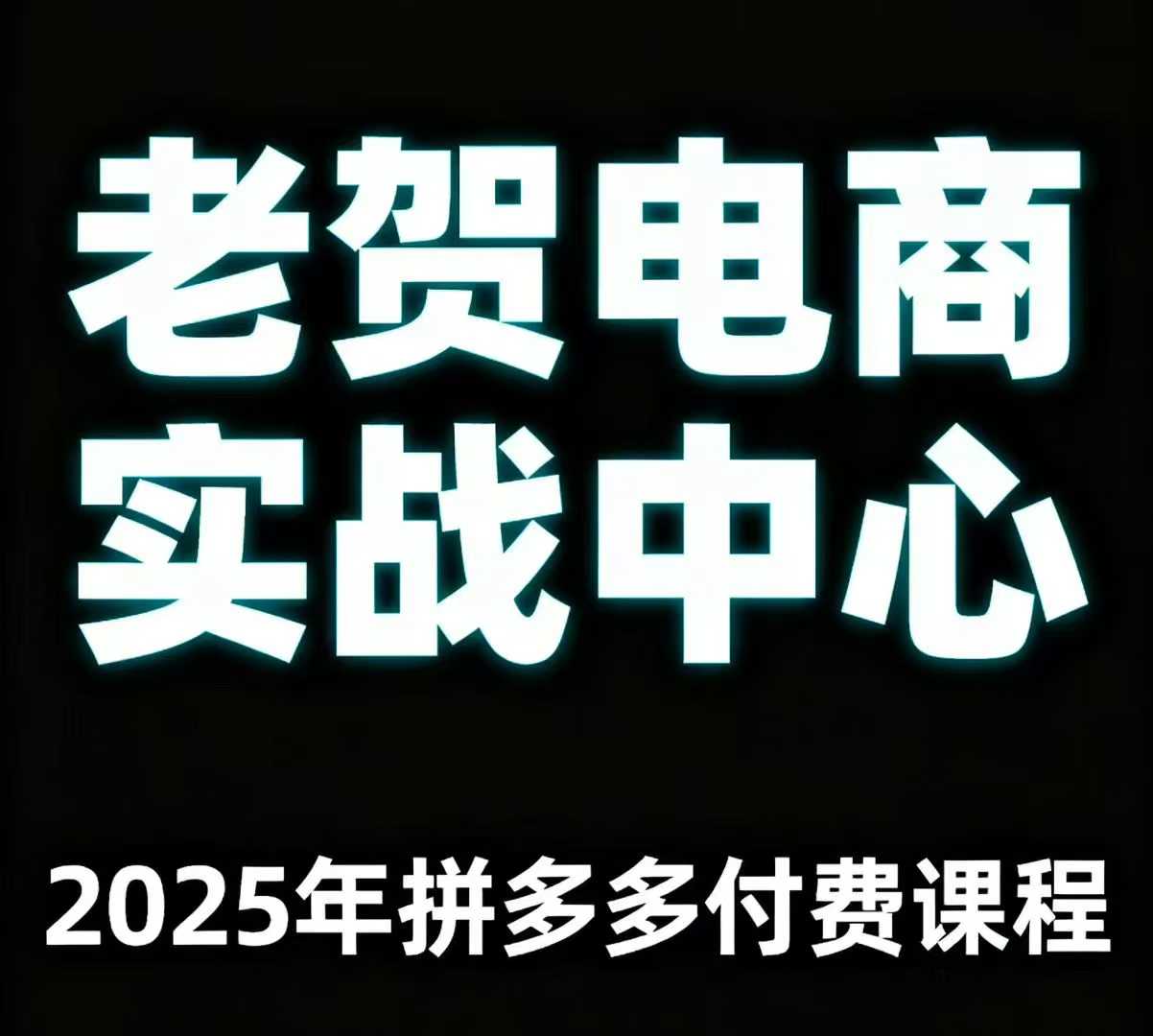 老贺电商2025年拼多多付费课程，用通俗易懂的方法告诉你多多怎么玩-萝卜兔资源站