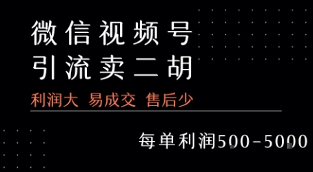视频号卖二胡教程，利润大 易成交 售后少，一单利润5张+-萝卜兔资源站