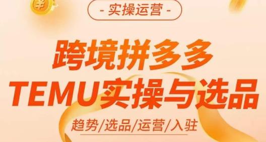 伍跃·跨境拼多多TEMU实操与选品，​趋势/选品/运营/入住（27节完整）-萝卜兔资源站