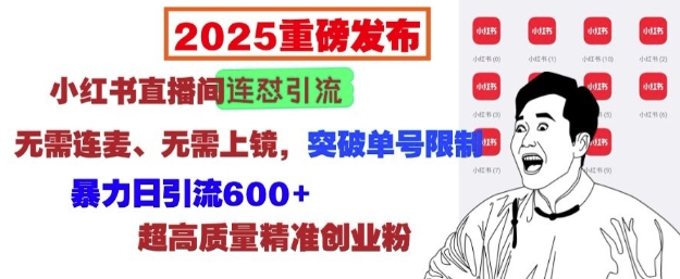 2025重磅发布：小红书直播间连怼引流，无需连麦、无需上镜，突破单号限制，暴力日引流600+-萝卜兔资源站