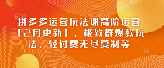 拼多多运营玩法课高阶运营【2月更新】，极致群爆款玩法，轻付费无尽复制等-萝卜兔资源站