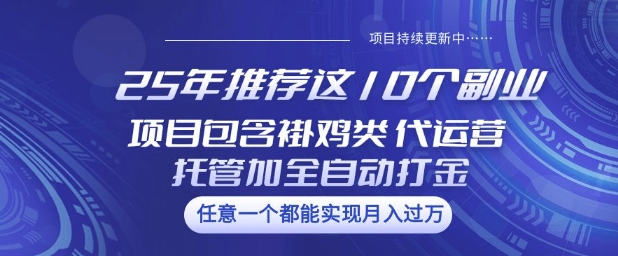 25年推荐这10个副业项目包含褂鸡类、代运营托管类、全自动打金类【揭秘】-萝卜兔资源站