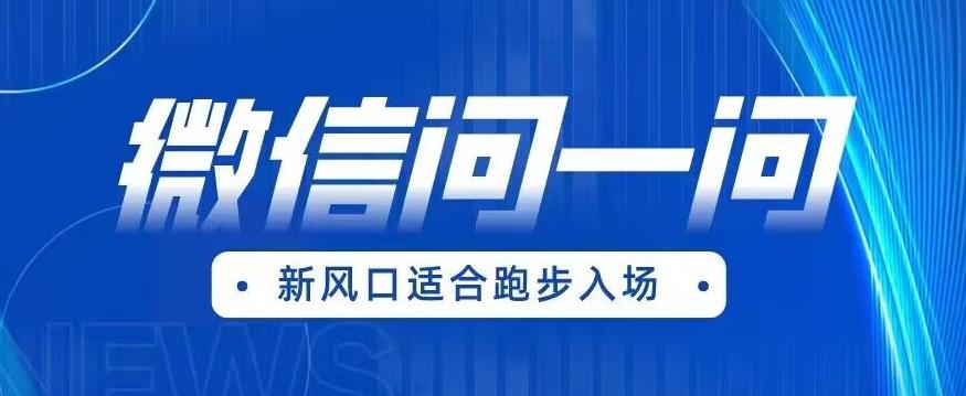 全网首发微信问一问新风口变现项目（价值1999元）【揭秘】-萝卜兔资源站