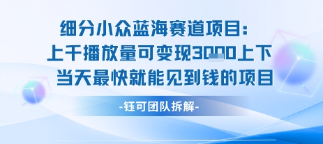 小众蓝海赛道项目：当天变现1k+适合新手操作 +适合长期玩-萝卜兔资源站