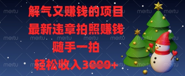 解气又挣钱的项目，最新违章拍照挣钱，随手一拍，轻松收入数张【揭秘】-萝卜兔资源站