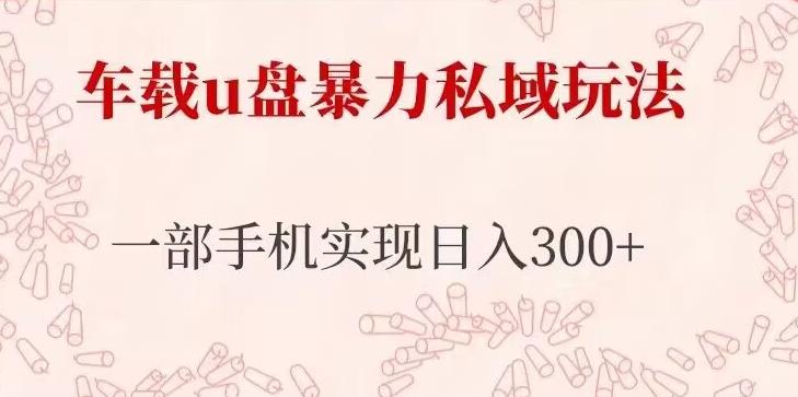 车载u盘暴力私域玩法，长期项目，仅需一部手机实现日入300+-萝卜兔资源站