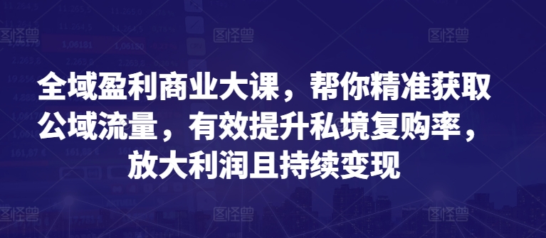 全域盈利商业大课，帮你精准获取公域流量，有效提升私境复购率，放大利润且持续变现-萝卜兔资源站