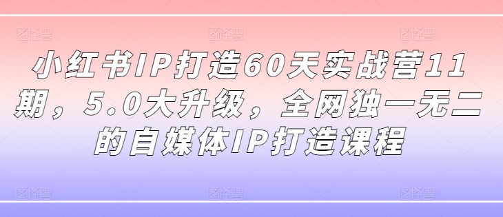 小红书IP打造60天实战营11期，5.0大升级，全网独一无二的自媒体IP打造课程-萝卜兔资源站