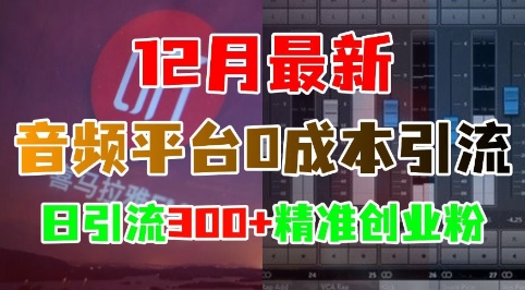 12月最新：音频平台0成本引流，日引流300+精准创业粉-萝卜兔资源站