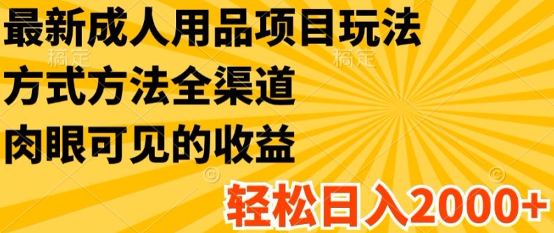 最新成人用品项目玩法，方式方法全渠道，轻松日入2K+【揭秘】-萝卜兔资源站