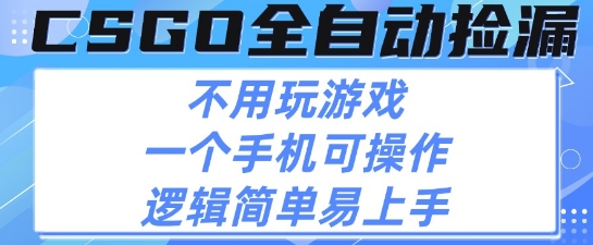 CSGO自动捡漏项目，最新独家玩法，不用挂G不用玩游戏，一个手机即可操作，新手小白轻松月入1W+【揭秘】-萝卜兔资源站
