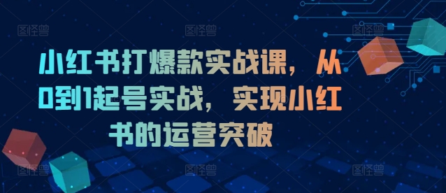 小红书打爆款实战课，从0到1起号实战，实现小红书的运营突破-萝卜兔资源站