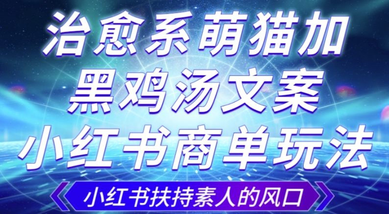 治愈系萌猫加+黑鸡汤文案，小红书商单玩法，3~10天涨到1000粉，一单200左右-萝卜兔资源站