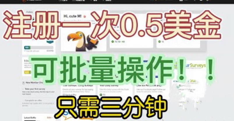 国外项目注册一次0.5美金，只需三分钟无脑操作，可批量同时放大操作，小白工作室福利【揭秘】-萝卜兔资源站
