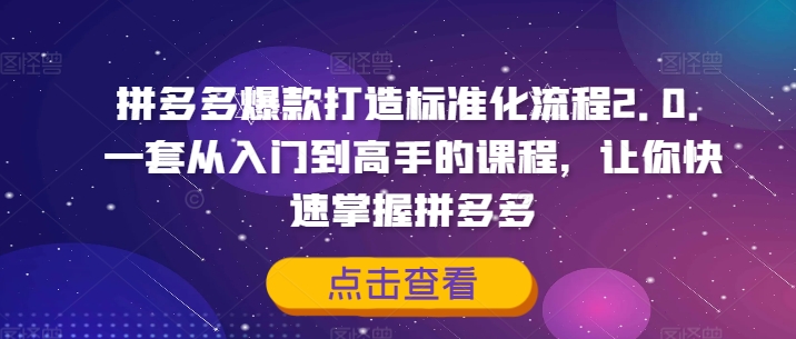 拼多多爆款打造标准化流程2.0，一套从入门到高手的课程，让你快速掌握拼多多-萝卜兔资源站