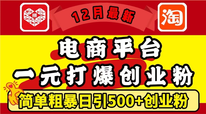 12月最新：电商平台1元打爆创业粉，简单粗暴日引500+精准创业粉，轻松月入过W【揭秘】-萝卜兔资源站