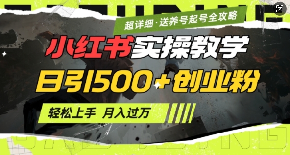 2月小红书最新日引500+创业粉实操教学【超详细】小白轻松上手，月入1W+，附小红书养号起号SOP-萝卜兔资源站
