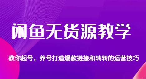 闲鱼无货源教学，教你起号，养号打造爆款链接以及转转的运营技巧-萝卜兔资源站