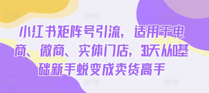小红书矩阵号引流，适用于电商、微商、实体门店，30天从0基础新手蜕变成卖货高手-萝卜兔资源站