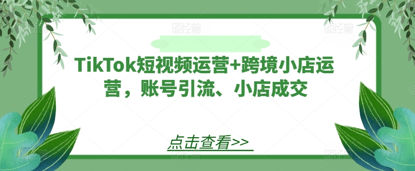 TikTok短视频运营+跨境小店运营，账号引流、小店成交-萝卜兔资源站