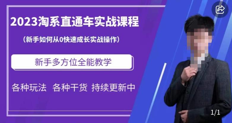 2023淘系直通车保姆式运营讲解，新手如何从0快速成长实战操作，新手多方位全能教学-萝卜兔资源站