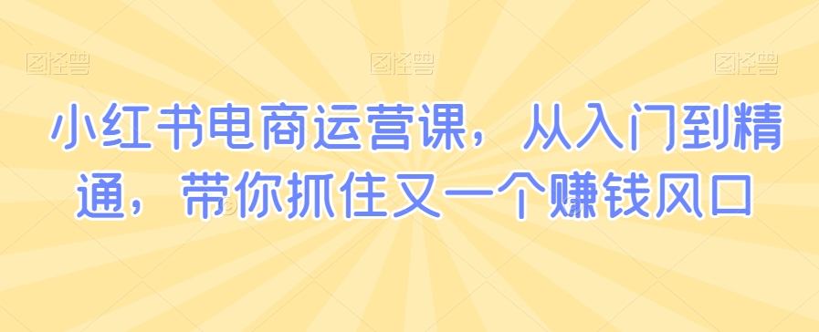 小红书电商运营课，从入门到精通，带你抓住又一个赚钱风口-萝卜兔资源站