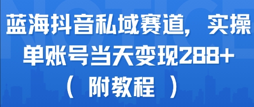 蓝海抖音私域赛道，实操单账号当天变现288+(附教程)-萝卜兔资源站