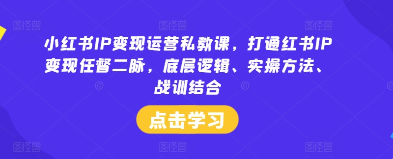 小红书IP变现运营私教课，打通红书IP变现任督二脉，底层逻辑、实操方法、战训结合-萝卜兔资源站