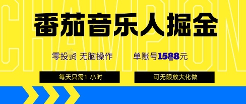番茄音乐人掘金，单账号最高可撸1k+，可无限矩阵去做，零投入-萝卜兔资源站