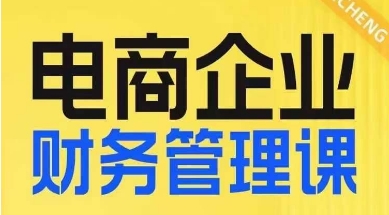 电商企业财务管理线上课，为电商企业规划财税-萝卜兔资源站