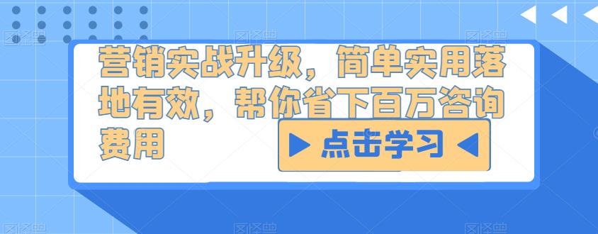 营销实战升级，简单实用落地有效，帮你省下百万咨询费用【揭秘】-萝卜兔资源站