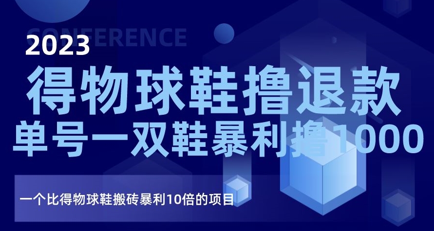 2023得物球鞋撸退款，单号一双鞋暴利撸1000，一个比得物球鞋搬砖暴利10倍的项目【揭秘】-萝卜兔资源站
