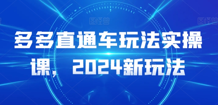 多多直通车玩法实操课，2024新玩法-萝卜兔资源站